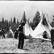 Cover image of Camp scene